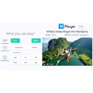 bzplayer Pro - Live Streaming Player WordPress Plugin